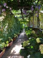 Anacapri_3 &ndash; &copy; Thomas Mühlbauer (Eberhardt TRAVEL)