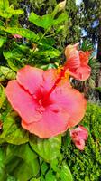 Rundreise Süd-Italien - Sizilien-Ausflug nach Taormina mit Botanischem Garten &ndash; &copy; Franziska Bergmann (Eberhardt TRAVEL)