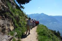 Meraner Höhenweg &ndash; &copy; Aline K. (Eberhardt TRAVEL)