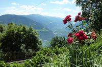Blumige Aussichten &ndash; &copy; Aline K. (Eberhardt TRAVEL)