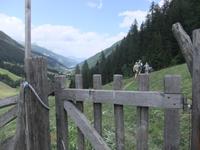Ultental &ndash; &copy; Helen Krippner (Eberhardt TRAVEL)