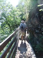 im Gänsemarsch &ndash; &copy; Helen Krippner (Eberhardt TRAVEL)