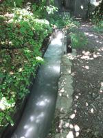 der Waal &ndash; &copy; Helen Krippner (Eberhardt TRAVEL)