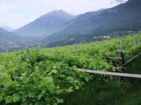 &copy; Helen Krippner (Eberhardt TRAVEL)