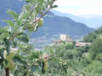&copy; Helen Krippner (Eberhardt TRAVEL)