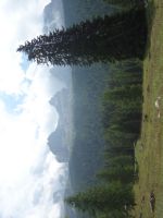 Single-Wanderreise Brenta-Dolomiten & Trentino – Nord-Italien (153).JPG &ndash; &copy; Benjamin Rodriguez Manzanares (Eberhardt TRAVEL)