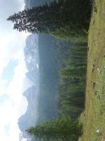 Single-Wanderreise Brenta-Dolomiten & Trentino – Nord-Italien (154).JPG &ndash; &copy; Benjamin Rodriguez Manzanares (Eberhardt TRAVEL)