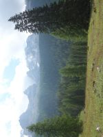 Single-Wanderreise Brenta-Dolomiten & Trentino – Nord-Italien (155).JPG &ndash; &copy; Benjamin Rodriguez Manzanares (Eberhardt TRAVEL)