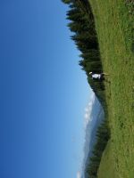 Single-Wanderreise Brenta-Dolomiten & Trentino – Nord-Italien (175).JPG &ndash; &copy; Benjamin Rodriguez Manzanares (Eberhardt TRAVEL)