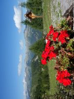 Single-Wanderreise Brenta-Dolomiten & Trentino – Nord-Italien (182).JPG &ndash; &copy; Benjamin Rodriguez Manzanares (Eberhardt TRAVEL)