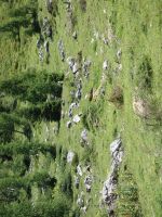 Single-Wanderreise Brenta-Dolomiten & Trentino – Nord-Italien (206).JPG &ndash; &copy; Benjamin Rodriguez Manzanares (Eberhardt TRAVEL)