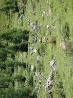 Single-Wanderreise Brenta-Dolomiten & Trentino – Nord-Italien (207).JPG &ndash; &copy; Benjamin Rodriguez Manzanares (Eberhardt TRAVEL)
