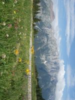 Single-Wanderreise Brenta-Dolomiten & Trentino – Nord-Italien (254).JPG &ndash; &copy; Benjamin Rodriguez Manzanares (Eberhardt TRAVEL)