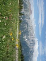 Single-Wanderreise Brenta-Dolomiten & Trentino – Nord-Italien (255).JPG &ndash; &copy; Benjamin Rodriguez Manzanares (Eberhardt TRAVEL)
