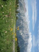 Single-Wanderreise Brenta-Dolomiten & Trentino – Nord-Italien (256).JPG &ndash; &copy; Benjamin Rodriguez Manzanares (Eberhardt TRAVEL)