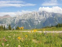 Single-Wanderreise Brenta-Dolomiten & Trentino – Nord-Italien (261).jpg &ndash; &copy; Benjamin Rodriguez Manzanares (Eberhardt TRAVEL)