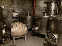 Im Weinkeller &ndash; &copy; Mathias Schirmer (Eberhardt TRAVEL)