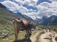 Traumhaft schön &ndash; &copy; Mathias Schirmer (Eberhardt TRAVEL)