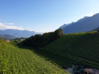 0507 Weinprobe &ndash; &copy; Jörg Nesse (Eberhardt TRAVEL)