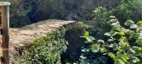 Wanderweg Monterosso - Vernazza &ndash; &copy; Betina Marinow (Eberhardt TRAVEL)