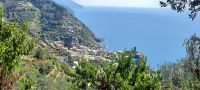 Vernazza &ndash; &copy; Betina Marinow (Eberhardt TRAVEL)