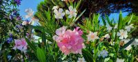 Impressionen &ndash; &copy; Betina Marinow (Eberhardt TRAVEL)