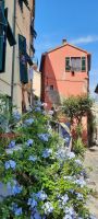 Portovenere - Bleiwurz hellblau &ndash; &copy; Betina Marinow (Eberhardt TRAVEL)