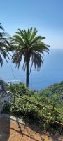 Impressionen - Palmen &ndash; &copy; Betina Marinow (Eberhardt TRAVEL)