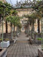 Ajaccio - Rue Cardinal Fesch (Palais Fesch) &ndash; &copy; Katrin Deutschbein (Eberhardt TRAVEL)
