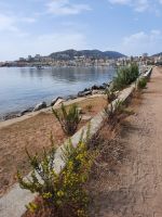 Ajaccio &ndash; &copy; Katrin Deutschbein (Eberhardt TRAVEL)