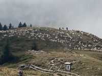 Auf der Höhe