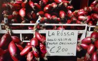 Süd-Italien - Rundreise Kalabrien - Tropeas große Spezialität &ndash; &copy; Ekkehard Villing (Eberhardt TRAVEL)