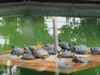  im Parco Sigutra &ndash; &copy; Adelheid Fritzsche (Eberhardt TRAVEL)