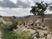 Landwirtschaft