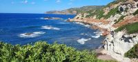 Küstenstraße südlich von Alghero &ndash; &copy; Betina Marinov (Eberhardt TRAVEL)