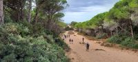 Lago Baratz - Weg zum Strand &ndash; &copy; Betina Marinov (Eberhardt TRAVEL)