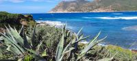 Porto Ferro &ndash; &copy; Betina Marinov (Eberhardt TRAVEL)