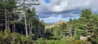  Monte Limbara - Gallura &ndash; &copy; Betina Marinov (Eberhardt TRAVEL)