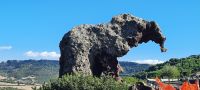 Elefante &ndash; &copy; Betina Marinov (Eberhardt TRAVEL)