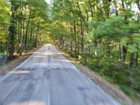 Gargano, Foresta Umbra &ndash; &copy; Ria Heilmann (Eberhardt TRAVEL)