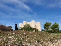 Castel del Monte &ndash; &copy; Ria Heilmann (Eberhardt TRAVEL)