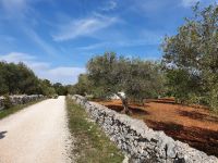 Wanderung im Itratal auf dem Aquäduktweg &ndash; &copy; Ria Heilmann (Eberhardt TRAVEL)