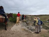 auch Reiter sind unterwegs &ndash; &copy; Ria Heilmann (Eberhardt TRAVEL)