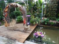  Orchideenwelt  &ndash; &copy; Gisela Hohlfeld (Eberhardt TRAVEL)