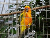  Orchideenwelt Rabland &ndash; &copy; Gisela Hohlfeld (Eberhardt TRAVEL)