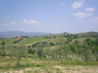 Weingut Montaioncino &ndash; &copy; Katrin Deutschbein (Eberhardt TRAVEL)