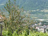 &copy; Heidemarie Nestler (Eberhardt TRAVEL)