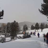 Villanderer Alm