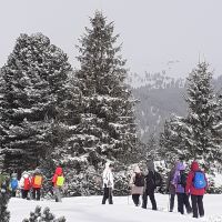 Villanderer Alm