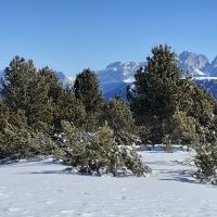 Ritten